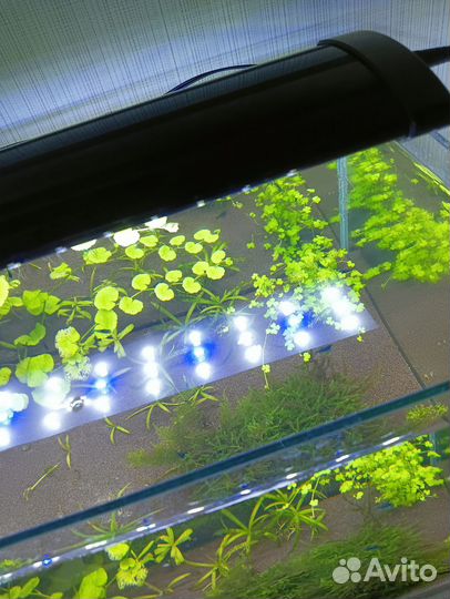 Светильник для аквариума