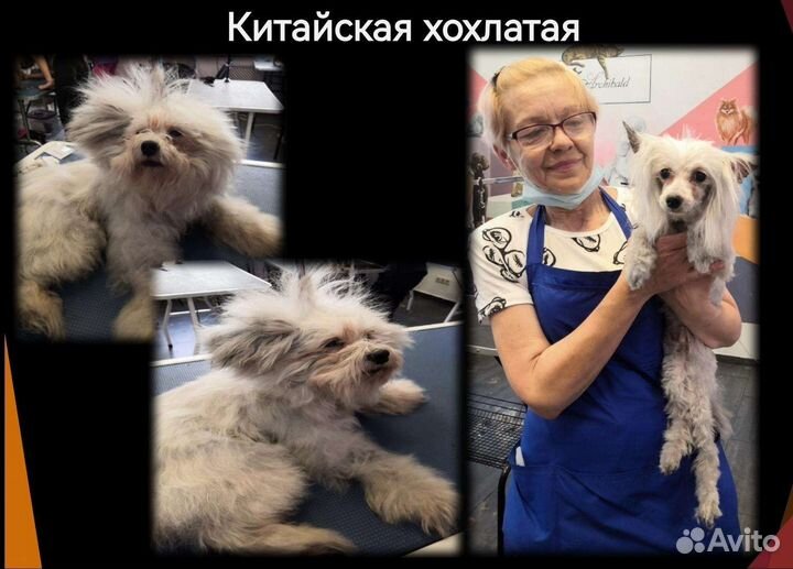 Грумер-универсал