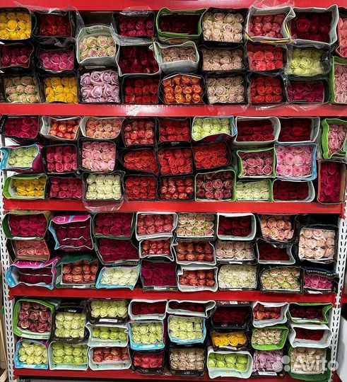 Розы оптом и в розницу - цветы и букеты