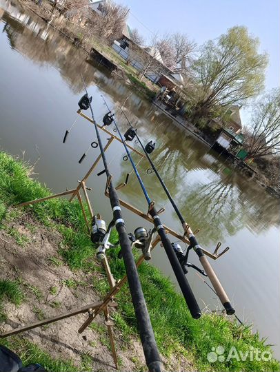 Продам род под