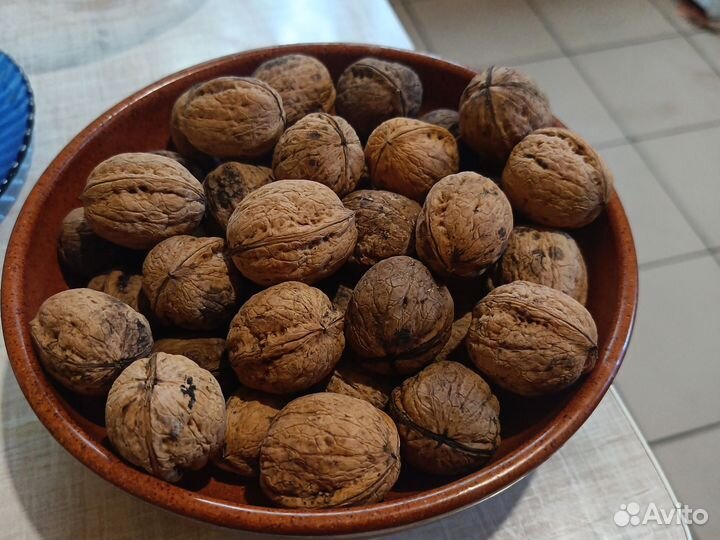 Грецкий орех саженцы
