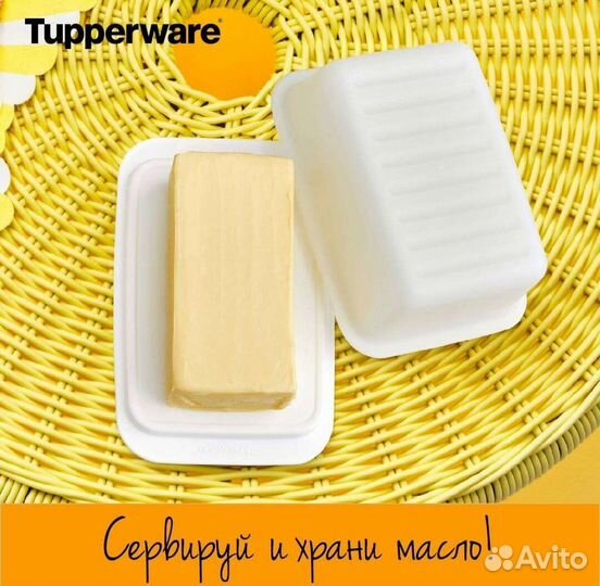 Масленка и сырница Tupperware