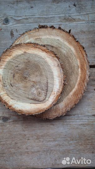Спилы из дерева