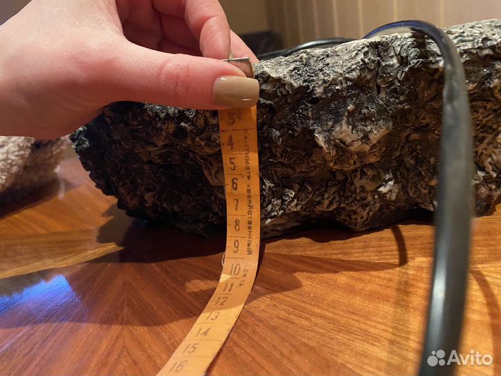 Денежный фонтан будда «Хотей»