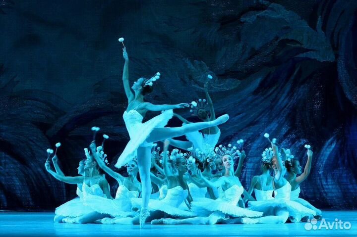 Билеты на балет в Кремле.Любой балет