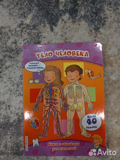 Энциклопедия. Тело человека. Книга с окошками