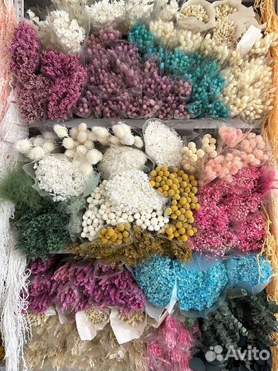 Сухоцветы Лаванда стабилизированная