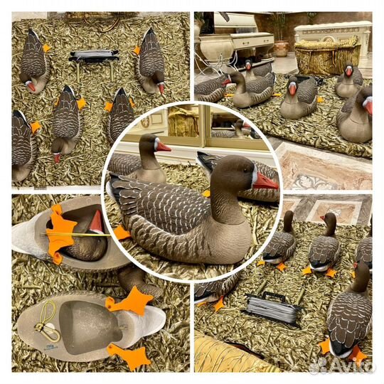 Гусей чучела