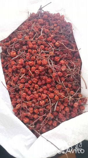 Ягода Красная рябина, сушёная