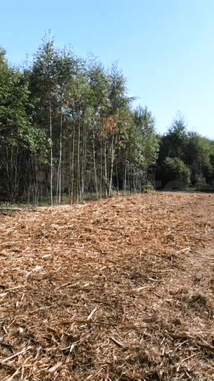 Участок 20 га (СНТ, ДНП)