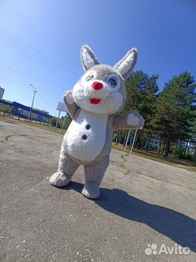 Поздравление