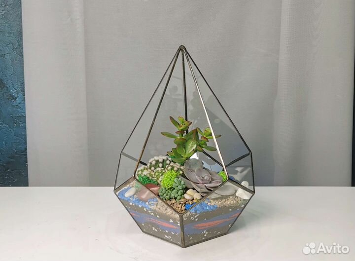 Флорариум капля S с суккулентами