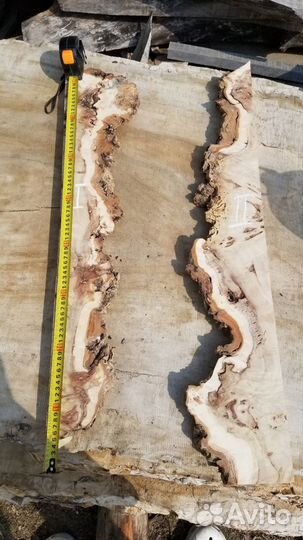 Заготовка, слэб, из горного капового тополя