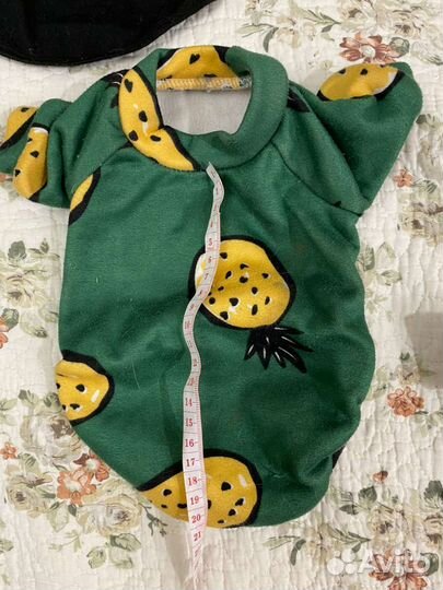 Вещи для маленьких собак