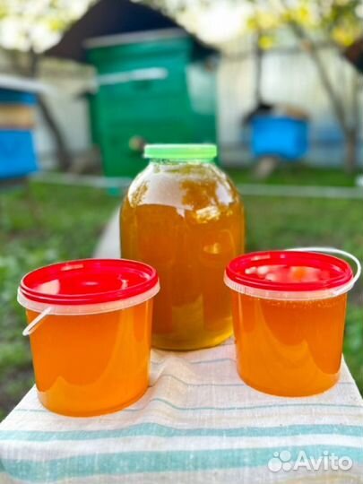 Мед домашний 2023