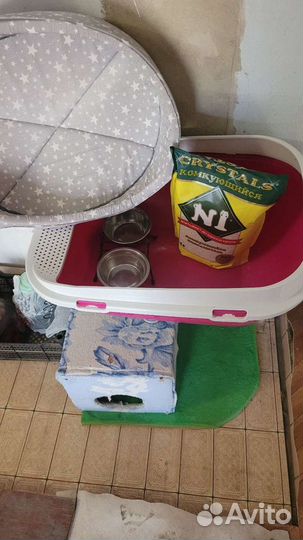 Когтеточка с домиком бу