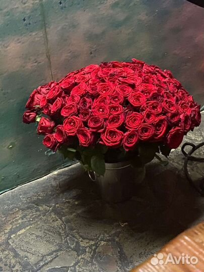 Розы Букет цветов 101 роза