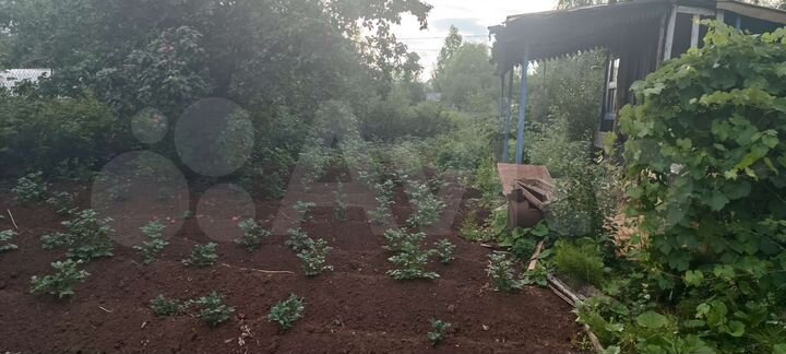 Участок 6 сот. (СНТ, ДНП)