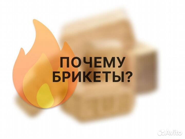 Топливные брикеты RUF (берёза, хвоя)