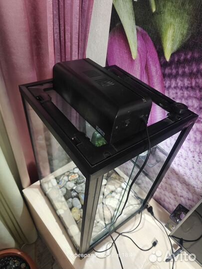 Террариум для хамелеона бу