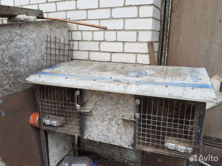 Клетки для кроликов бу