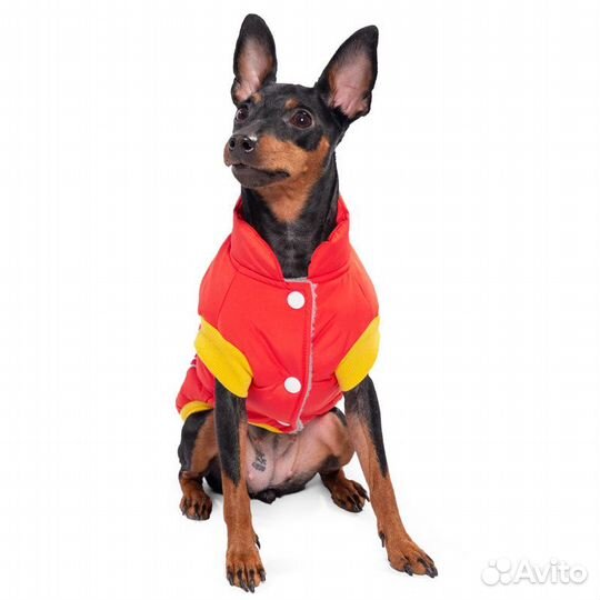 Triol Marvel попона зимняя 