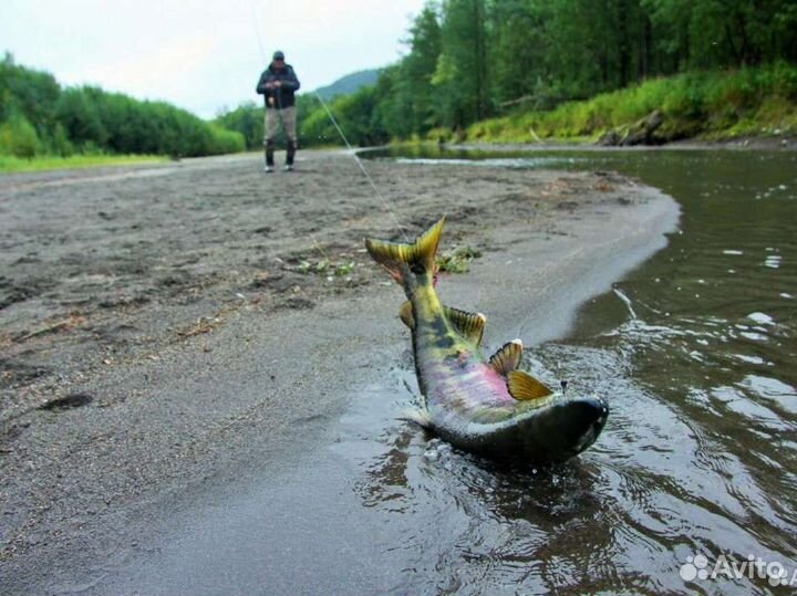 Рыбалка. Камчатка. Туризм