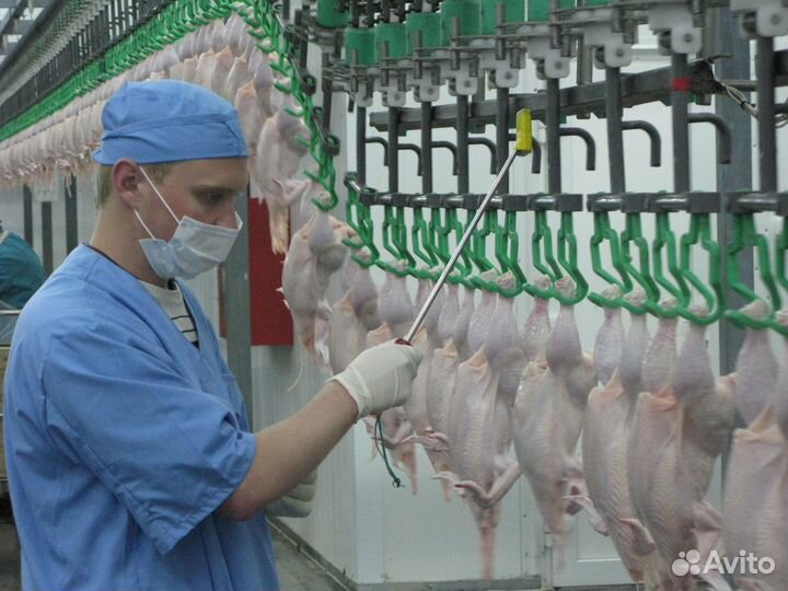 Оператор линии - вахта в Челябинской области