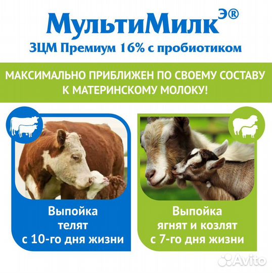 Зцм пробиотик сухое молоко для телят/козлят опт