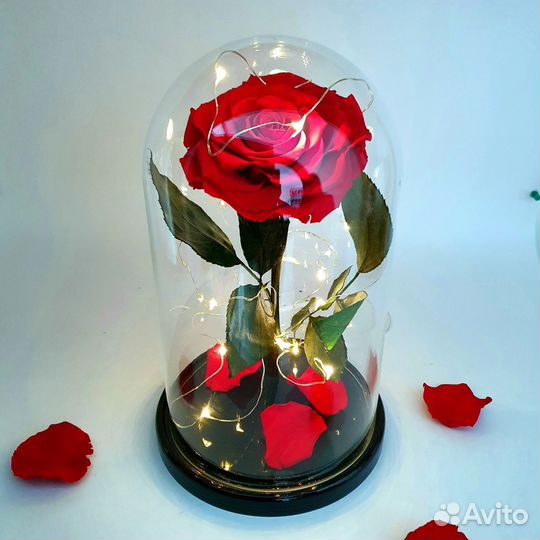Роза в колбе с подсветкой