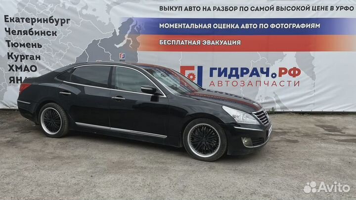 Проводка двери задней левой Hyundai Equus (VI) 261