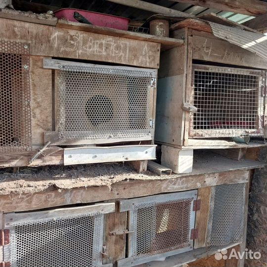 Клетка для кролика б/у