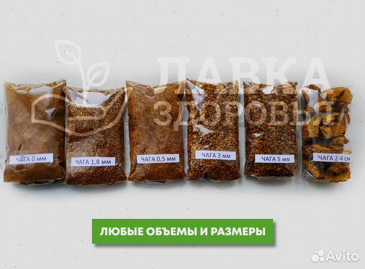 Чага сушеная опт. Любые объемы и виды