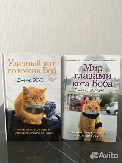 Уличный кот по имени Боб