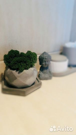 Флорариум, кашпо с мхом и подставкой