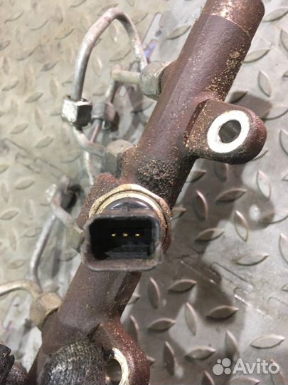 Рейка топливная (рампа) в сборе (Renault Megane)