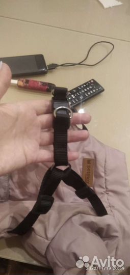 Комбинезон для собаки