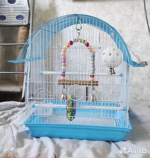 Клетка для попугая, птицы