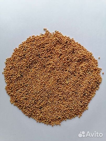 Корм для попугаев и других видов птиц