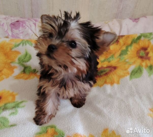 Классный парень