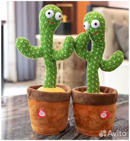 Танцующий кактус