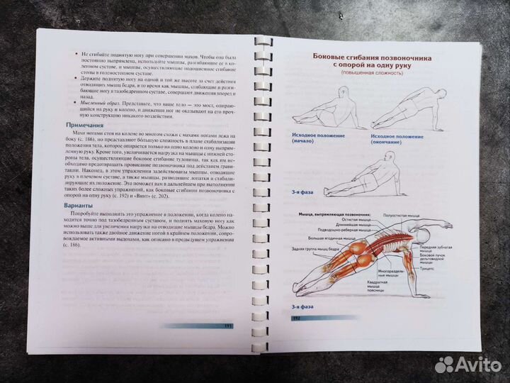 Книга Анатомия пилатеса, Раэль Исакович