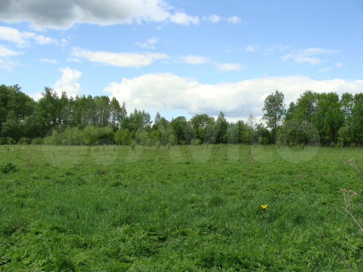 Участок 1,6 га (ИЖС)