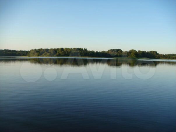 Участок 1,55 га (ИЖС)