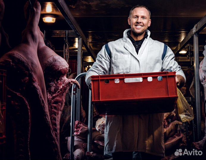 Работа грузчик ежедневная оплата