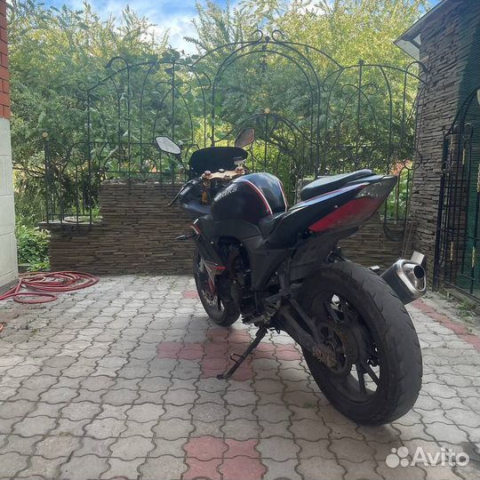 Omaks 250 sport