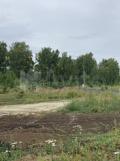 Участок 8 сот. (СНТ, ДНП)