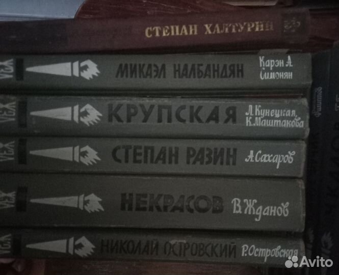 Книги из серии жзл