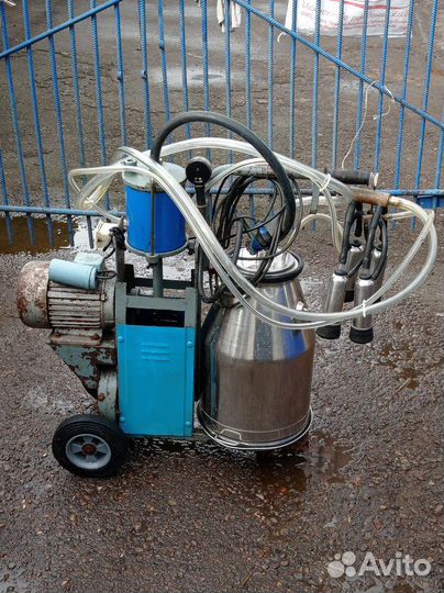 Доильный аппарат бу