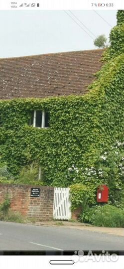 Живой кондиционер Вейчи 1+1